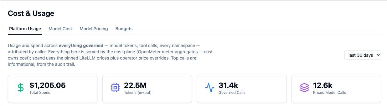 Mosaic Cost and Usage screen showing total spend, tokens, governed calls and priced model calls over the last 30 days.